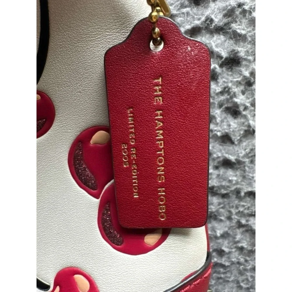 Authentic Coach Women's Leather Hamptons Hobo Bag With Cherry Print J2481-CY936